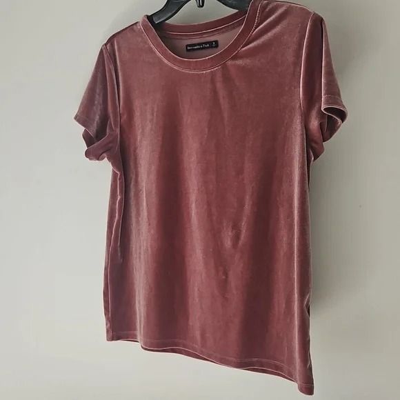 Abercambie And Fitch Short Sleeve Velvet Tee in Dusty Rose - Picture 4 of 4